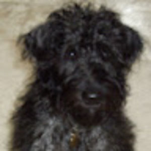 Meet your Posher, Betsy